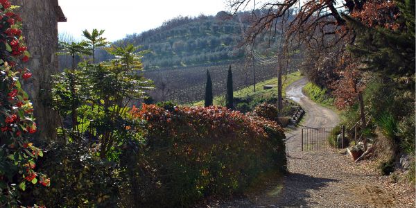 Molino di Bombi, Fienile